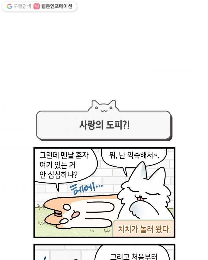 지구의 주인은 고양이다 152화 4