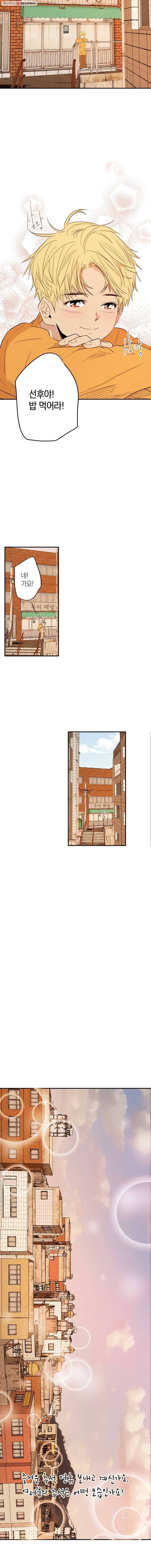 우리가 헤어진 사이에 추석 특별편 6
