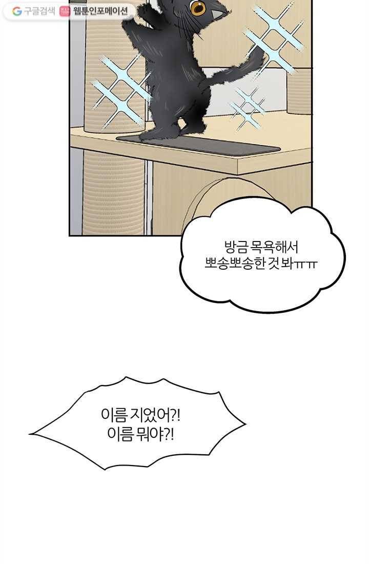 어른이 1화 39