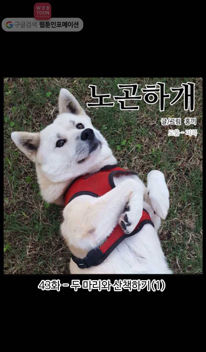 노곤하개 43화 두 마리와 산책하기(1) 1