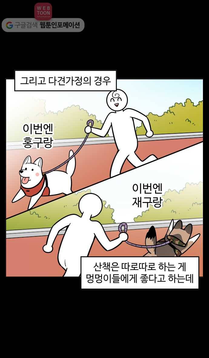 노곤하개 43화 두 마리와 산책하기(1) 5