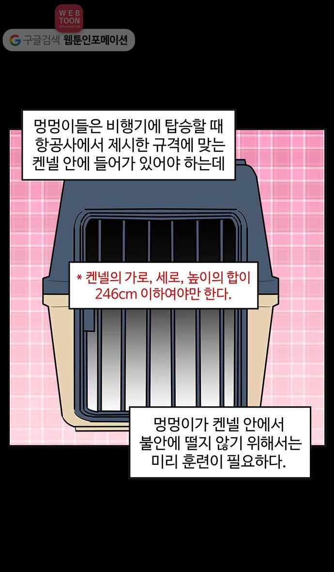 노곤하개 49화 켄넬훈련 2