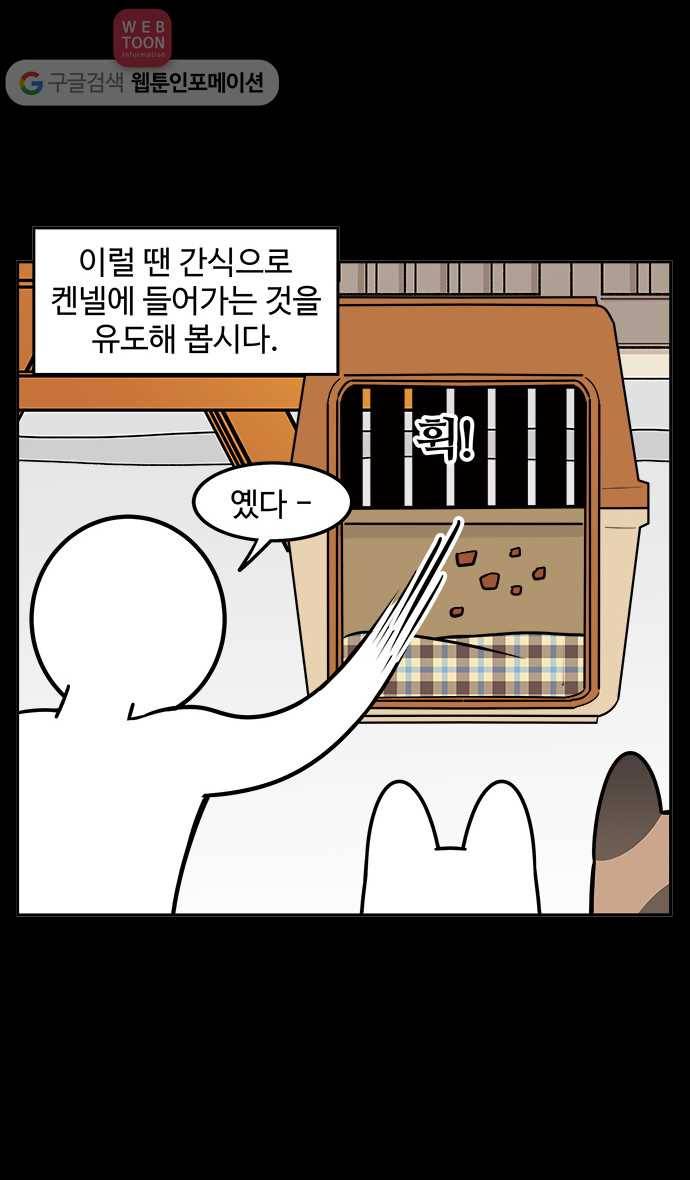 노곤하개 49화 켄넬훈련 11