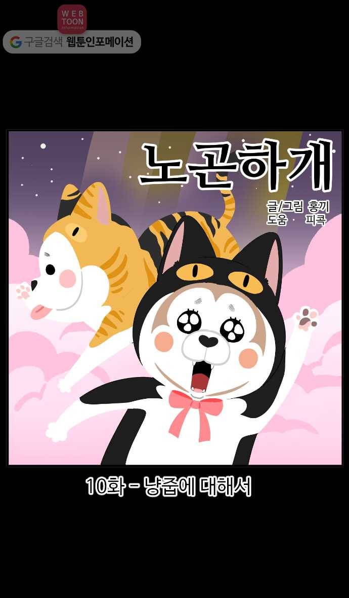 노곤하개 시즌2 10화 냥줍에 대해서 1