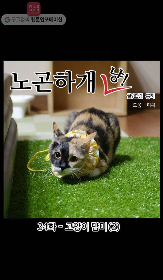 노곤하개 시즌2 34화 고양이 먐미 (2) 1