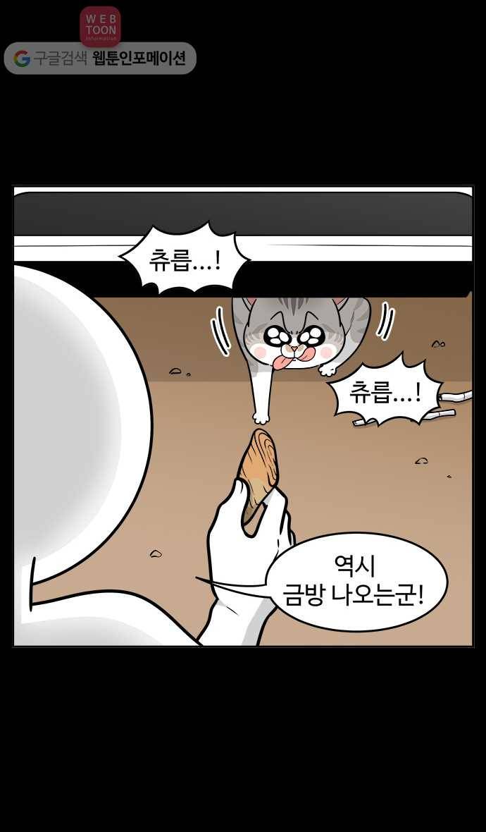 노곤하개 시즌2 34화 고양이 먐미 (2) 5