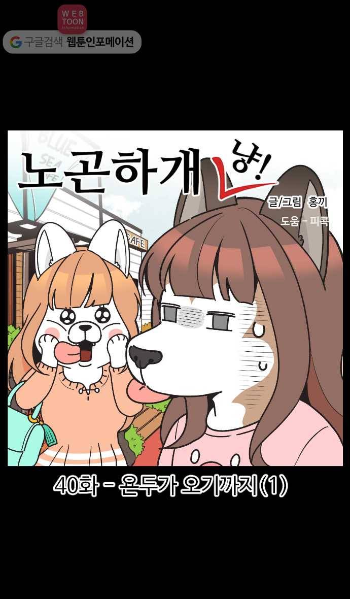 노곤하개 시즌2 40화 욘두가 오기까지 (1) 1