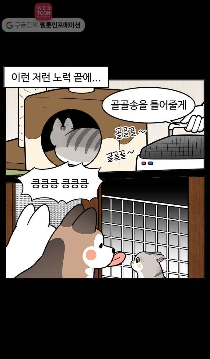 노곤하개 시즌2 40화 욘두가 오기까지 (1) 3
