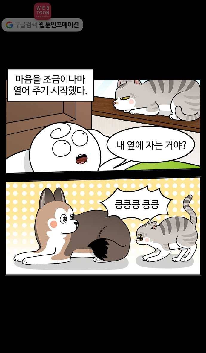 노곤하개 시즌2 40화 욘두가 오기까지 (1) 4
