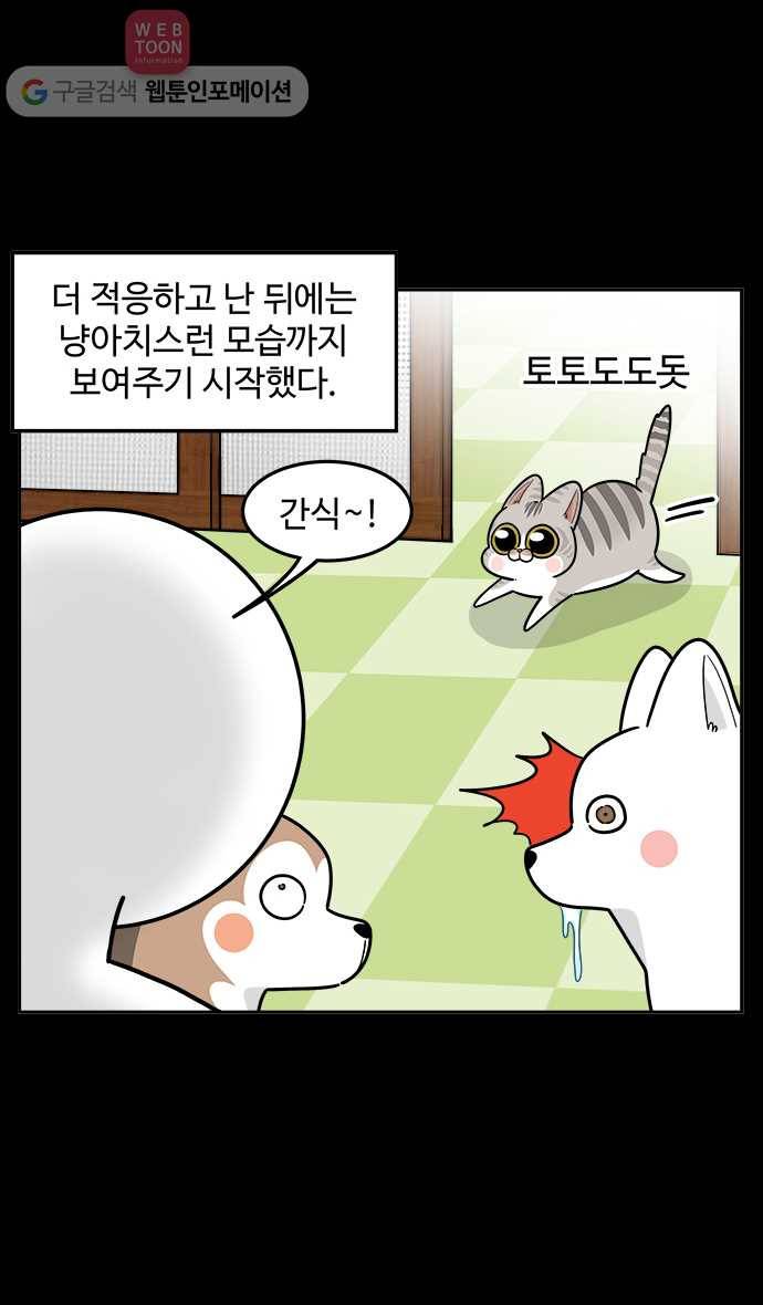 노곤하개 시즌2 40화 욘두가 오기까지 (1) 5