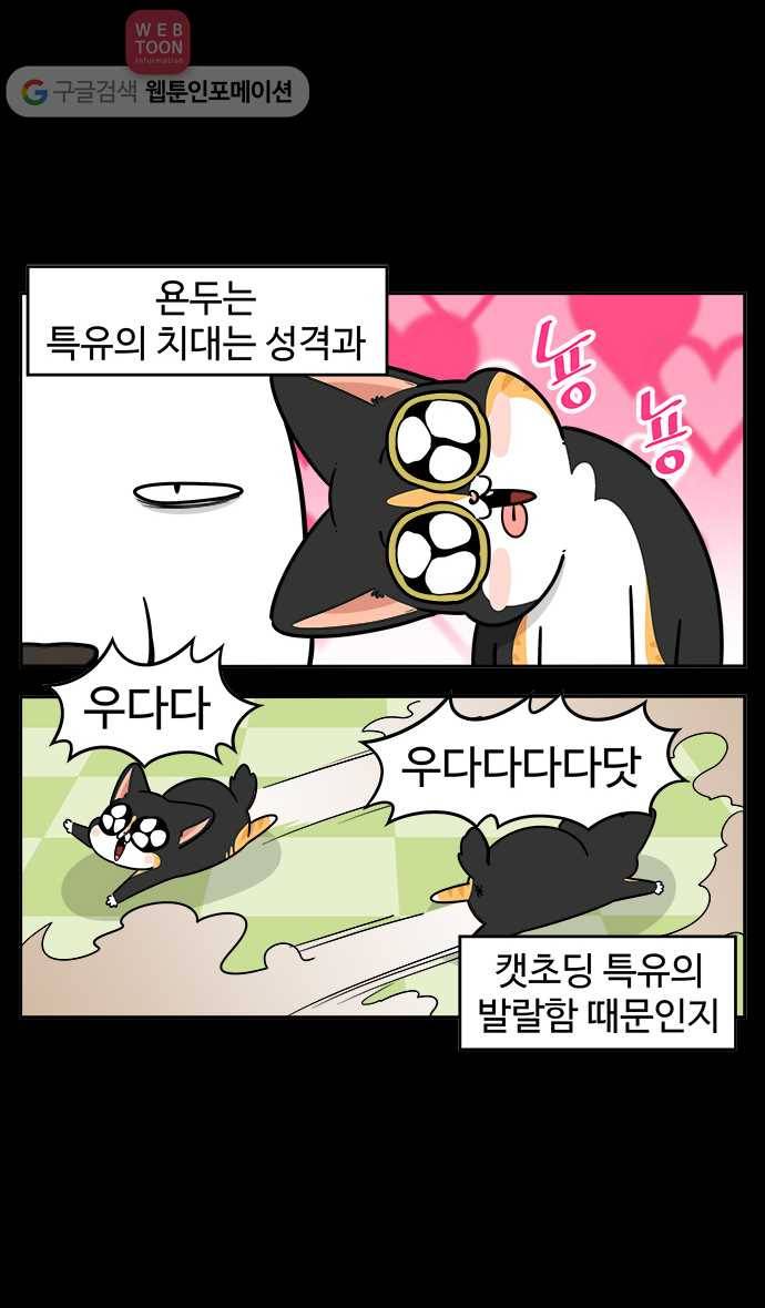 노곤하개 시즌2 46화 욘두의 적응일기(2) 2