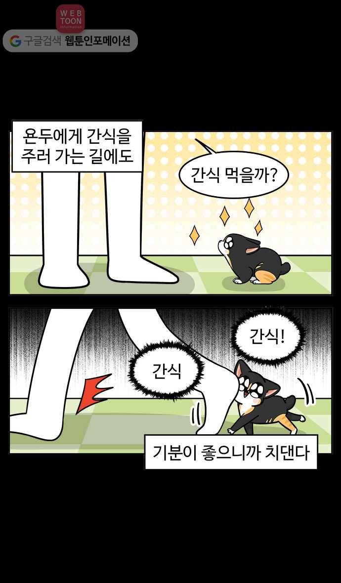 노곤하개 시즌2 46화 욘두의 적응일기(2) 9