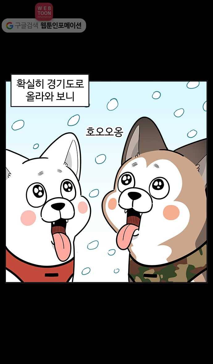 노곤하개 시즌2 71화 멍멍이와 눈 3