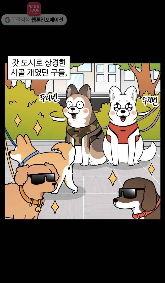 노곤하개 시즌2 99화 구들은 도시견 2