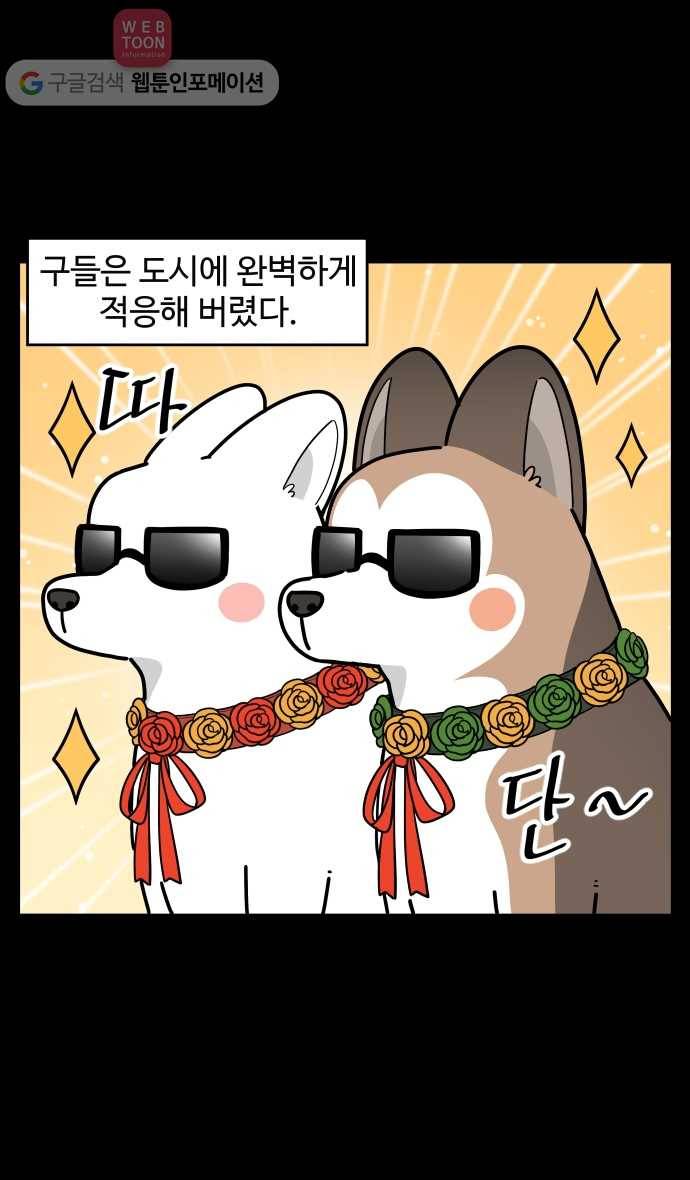 노곤하개 시즌2 99화 구들은 도시견 3