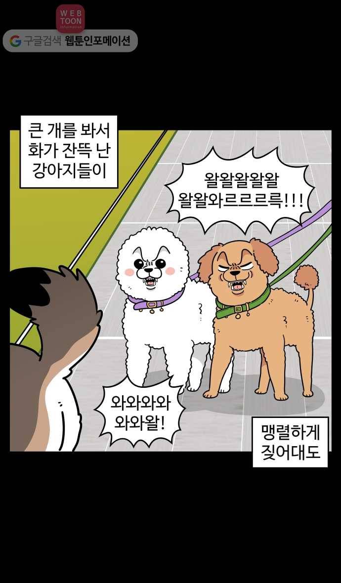 노곤하개 시즌2 99화 구들은 도시견 4