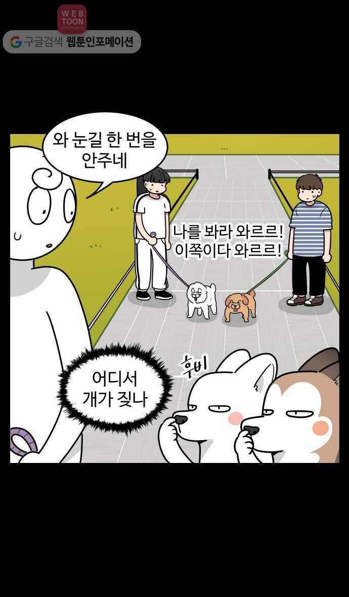 노곤하개 시즌2 99화 구들은 도시견 5