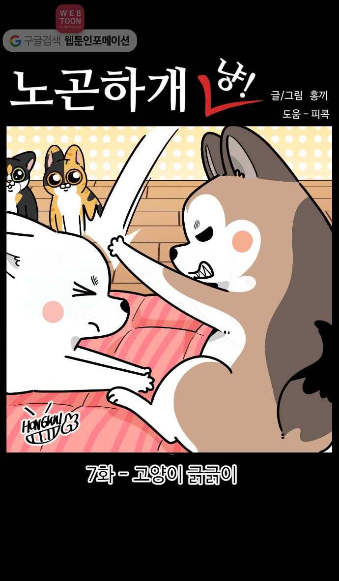 노곤하개 시즌3 7화 고양이 긁긁이 1