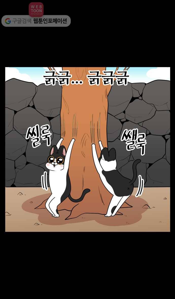 노곤하개 시즌3 7화 고양이 긁긁이 4