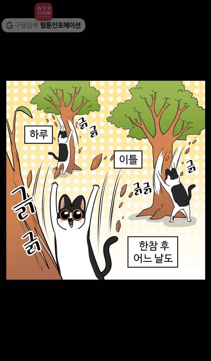노곤하개 시즌3 7화 고양이 긁긁이 5
