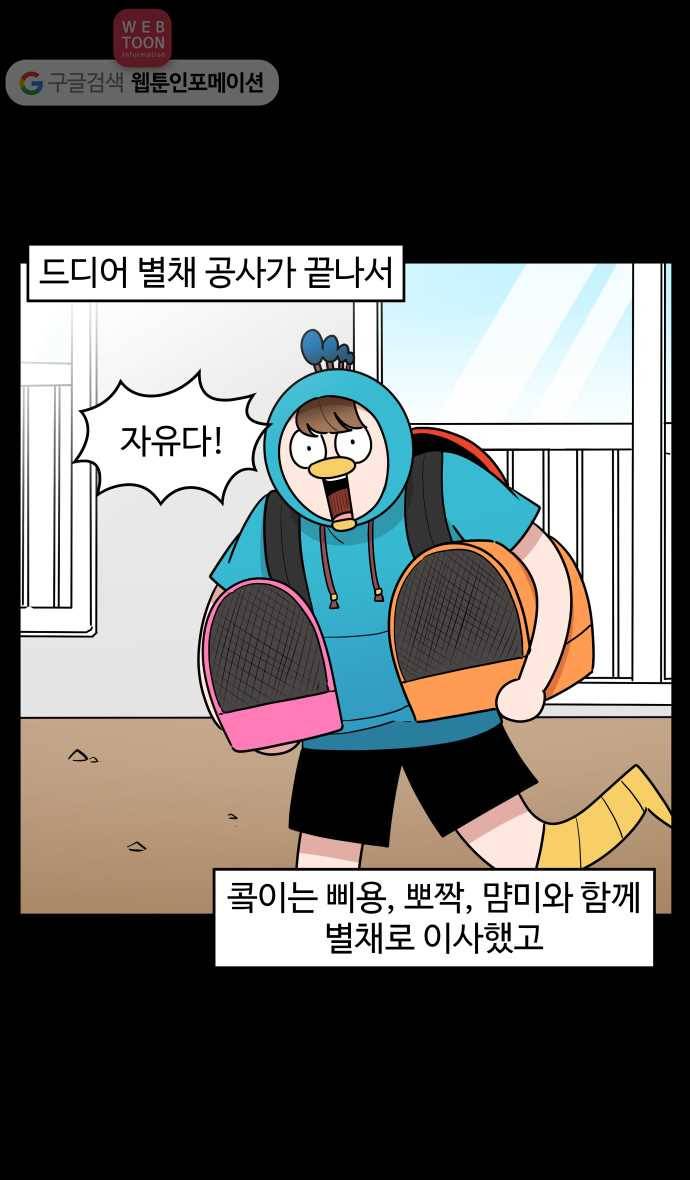 노곤하개 시즌3 17화 고양이 마당 만들기 2