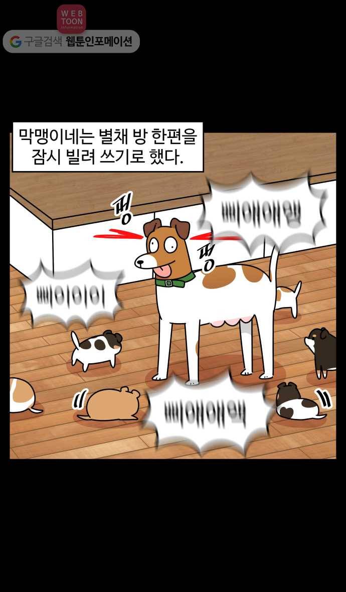 노곤하개 시즌3 17화 고양이 마당 만들기 3
