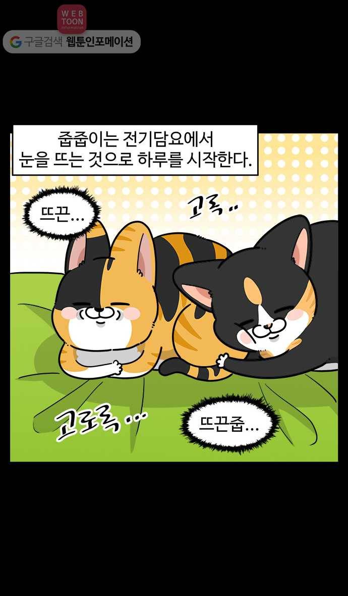 노곤하개 시즌3 27화 줍줍이와 고양이 마당 2