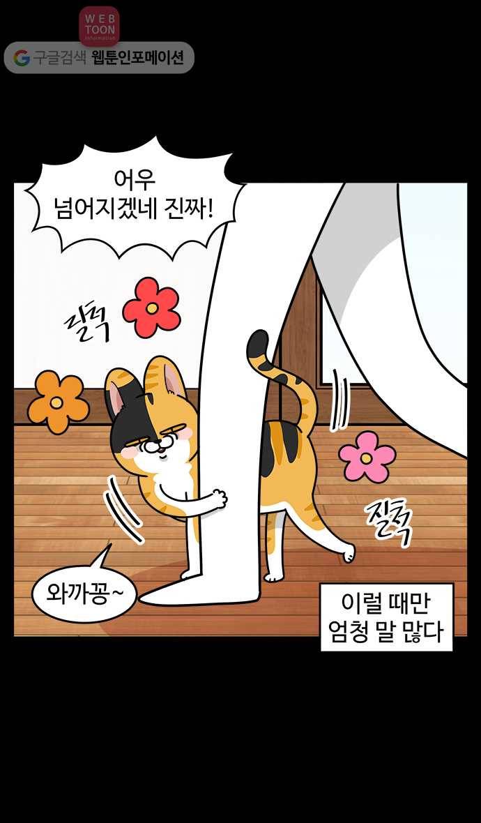 노곤하개 시즌3 27화 줍줍이와 고양이 마당 5