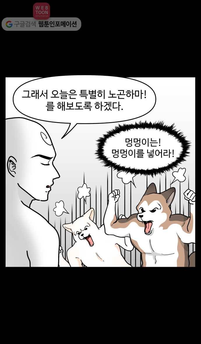 노곤하개 시즌3 37화 노곤하마 2