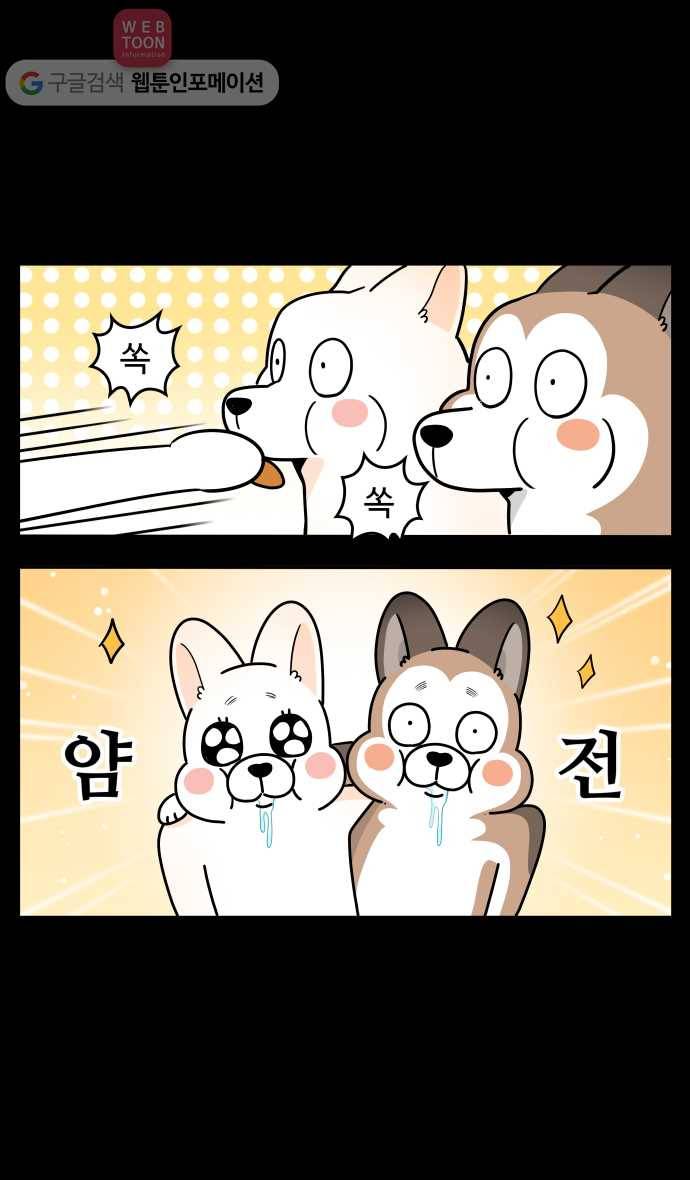 노곤하개 시즌3 37화 노곤하마 3
