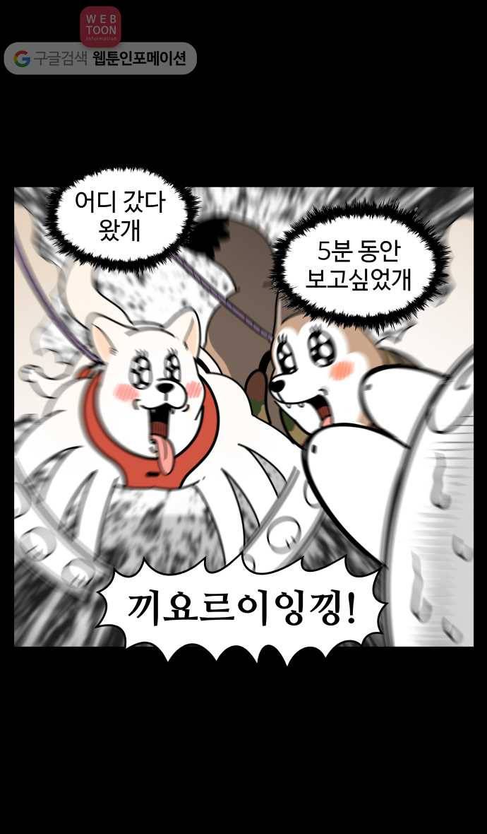 노곤하개 시즌3 47화 멍멍이의 반가움 5