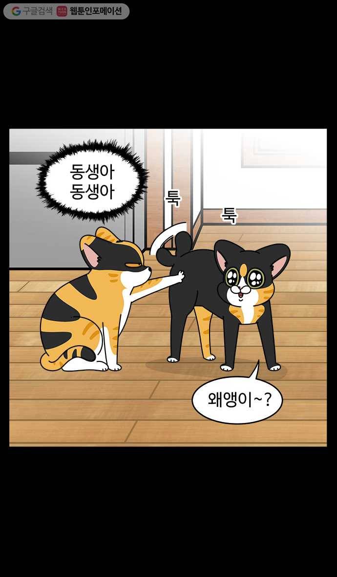 노곤하개 시즌4 5화 마당 꾸미기 (3) 4