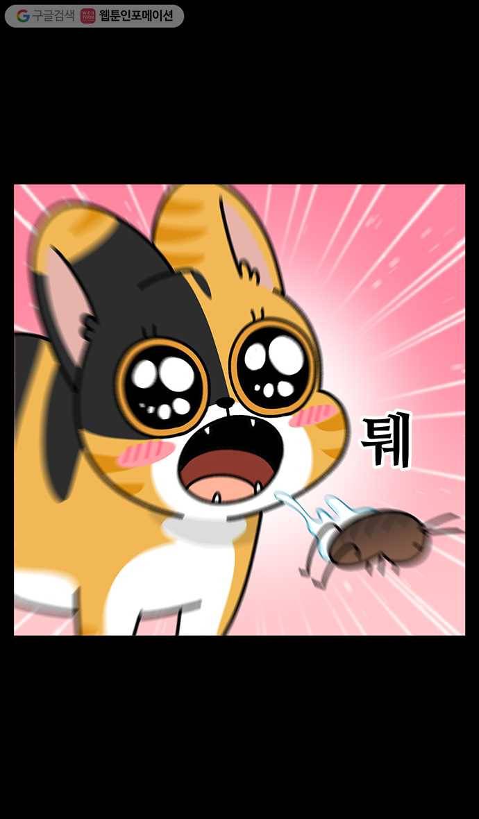 노곤하개 시즌4 5화 마당 꾸미기 (3) 5