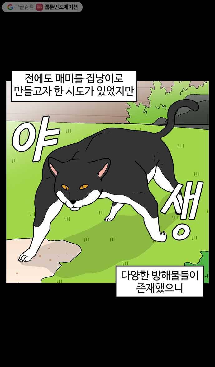 노곤하개 시즌4 13화 매미가 돌아왔다 2