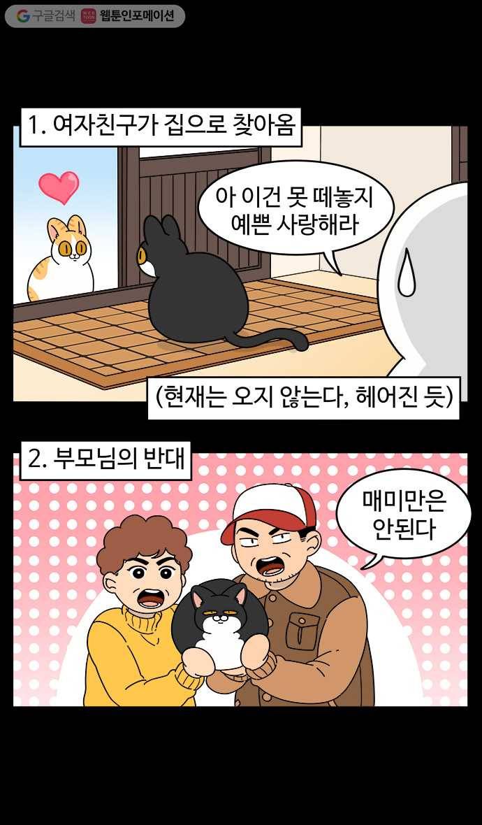 노곤하개 시즌4 13화 매미가 돌아왔다 3