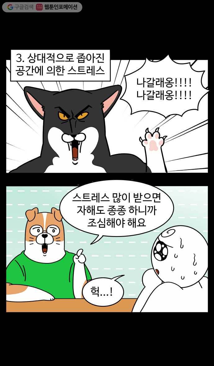 노곤하개 시즌4 13화 매미가 돌아왔다 4