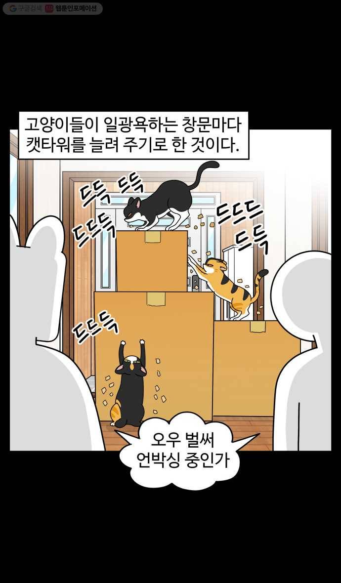 노곤하개 시즌4 20화 고양이와 놀이 (1) 3