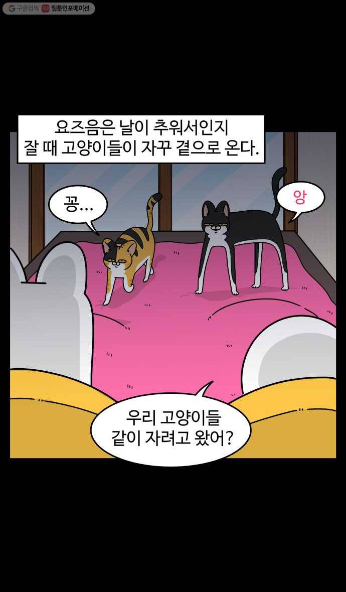 노곤하개 시즌4 26화 멍냥이와 같이 자기 2