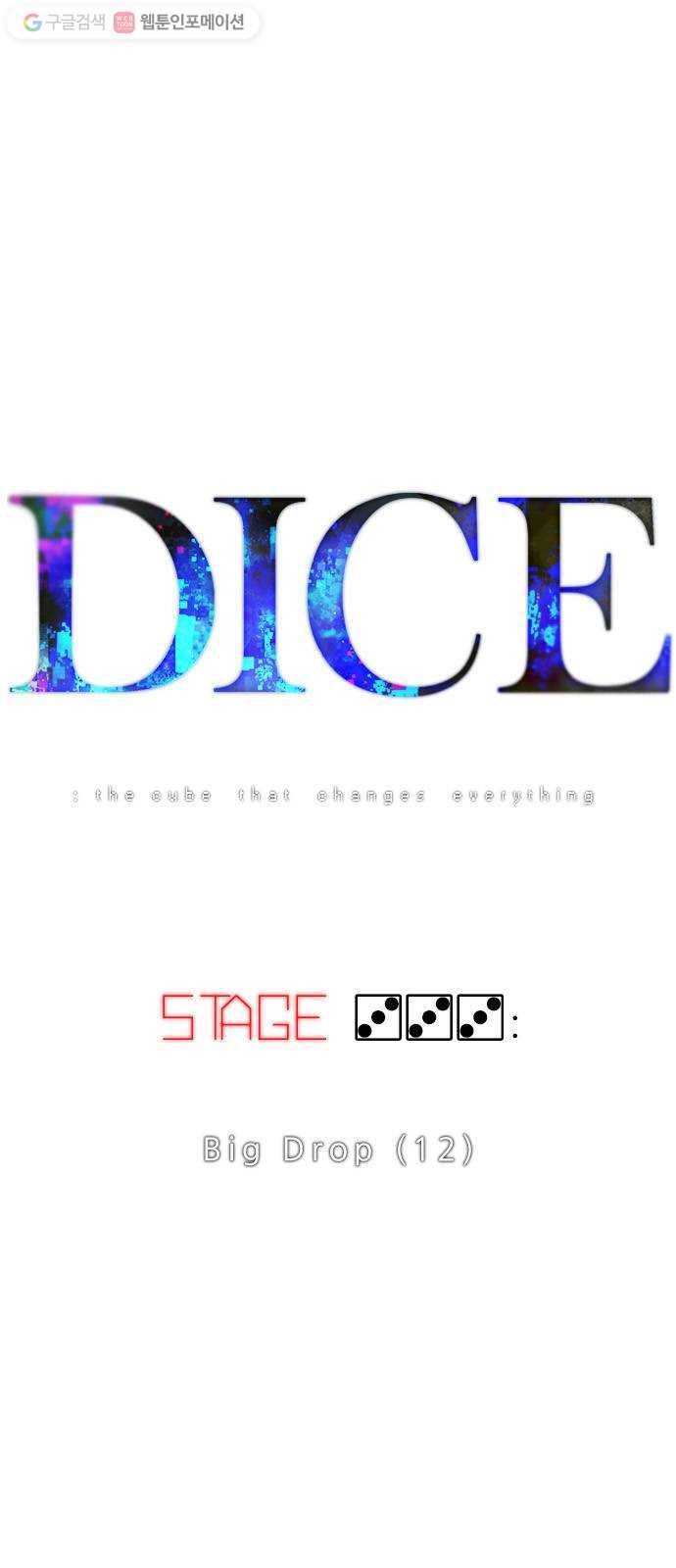 다이스(DICE) STAGE 333 Big Drop (12) 1