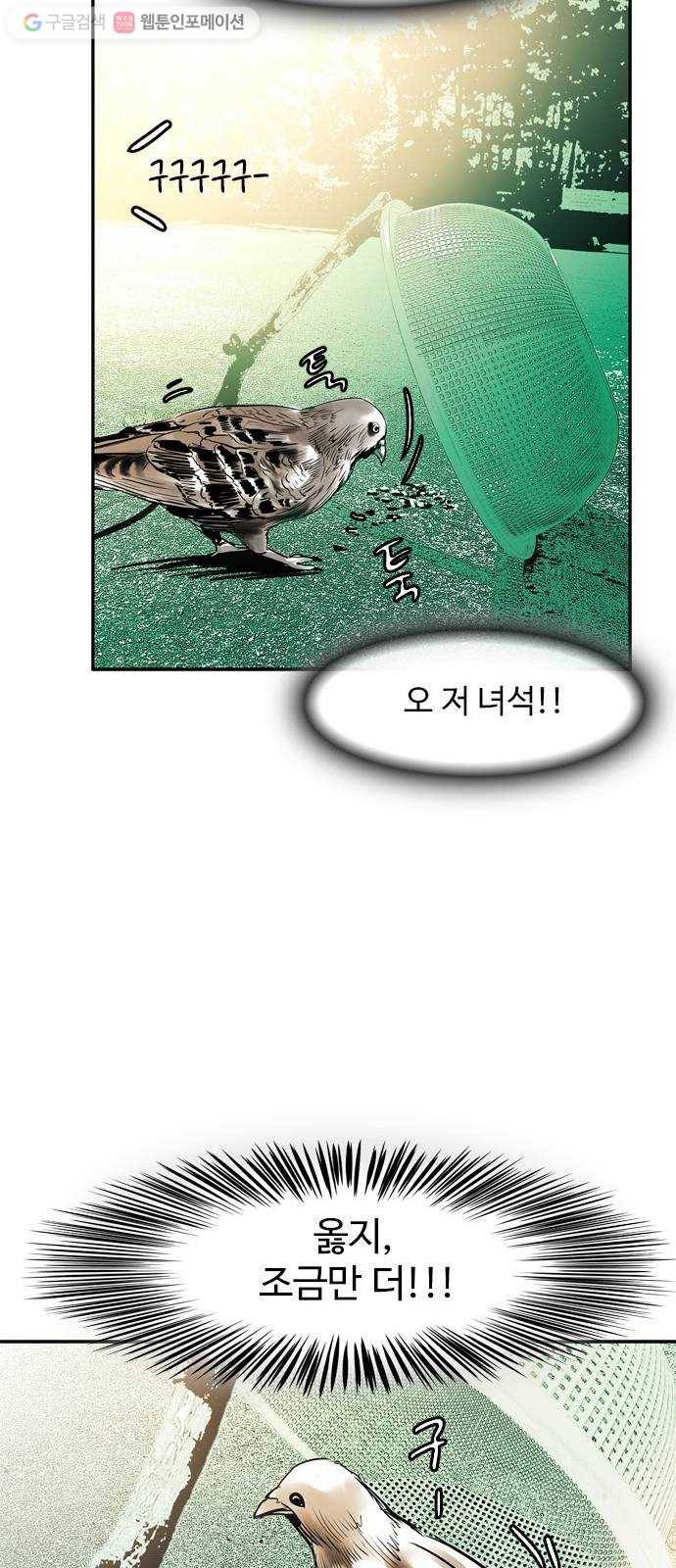마도 23화 비둘기 사냥 51