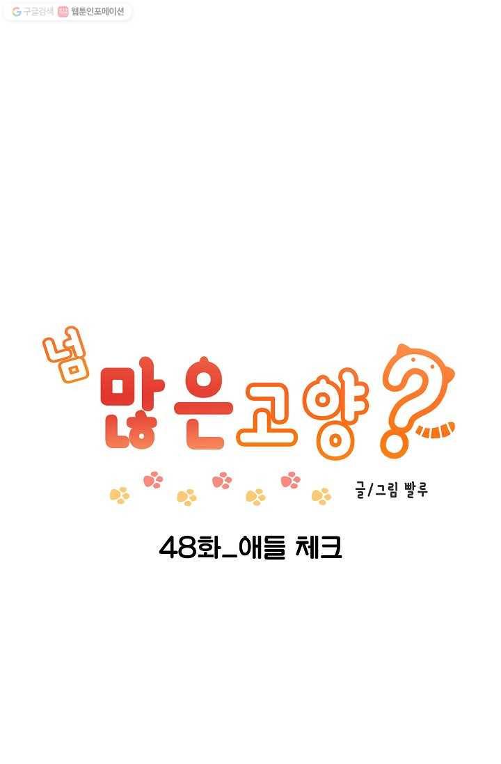 넘 많은 고양! 049화 1