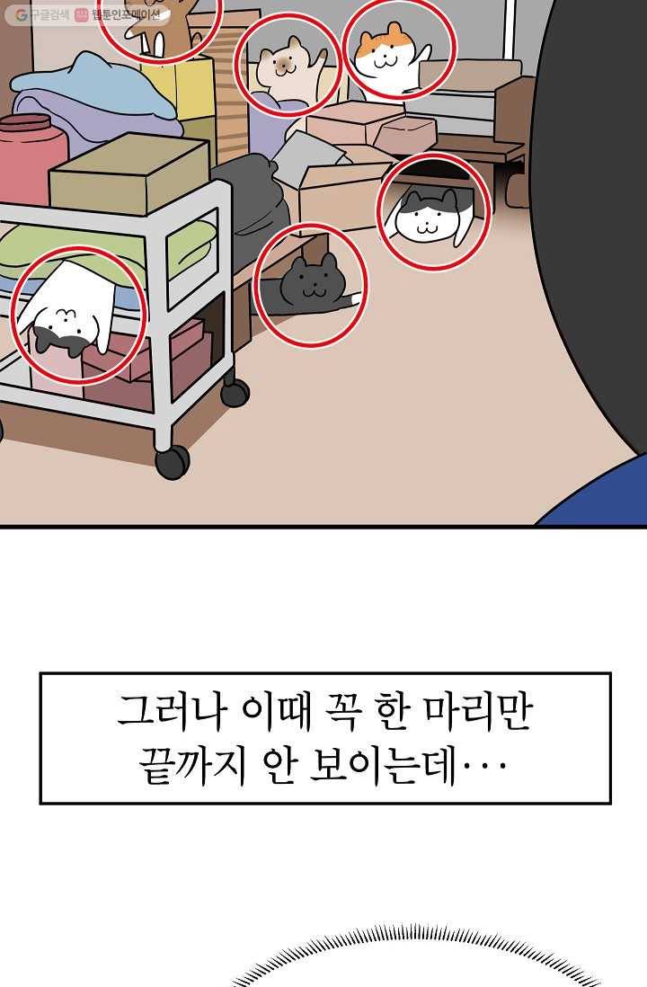 넘 많은 고양! 049화 5