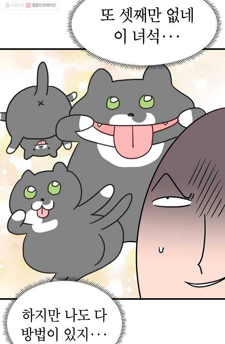 넘 많은 고양! 049화 6