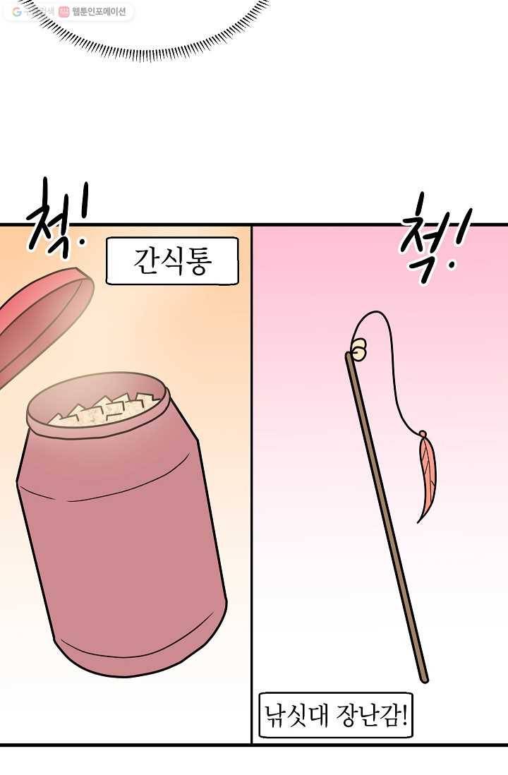넘 많은 고양! 049화 7