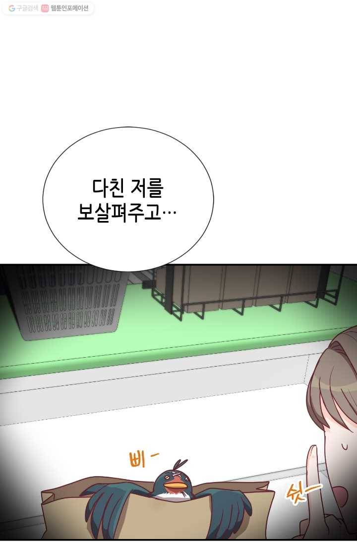 박씨가 없어서요 19화 9