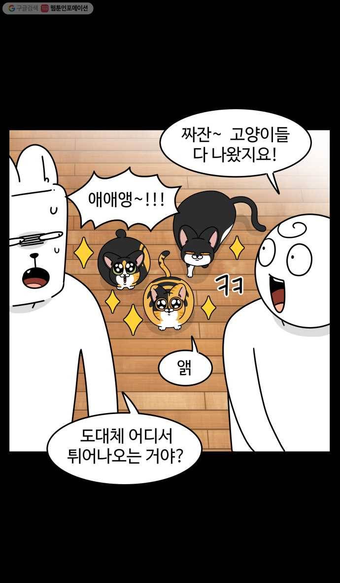노곤하개 시즌4 31화 고양이와 옷장 5