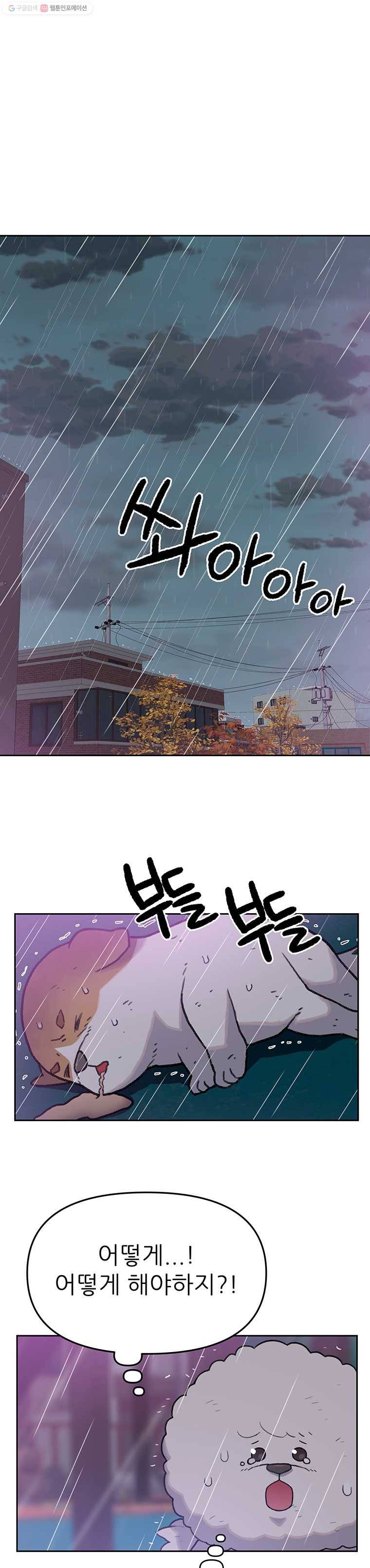 무지개다리 파수꾼 26화 11