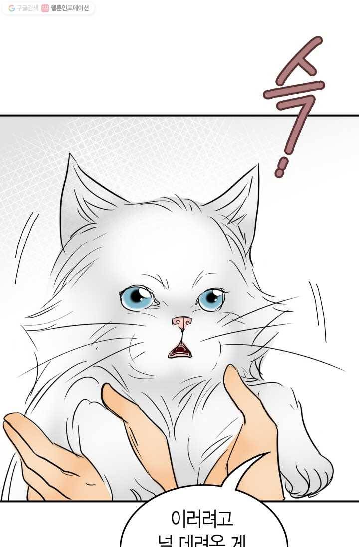 연하어택 11화 57