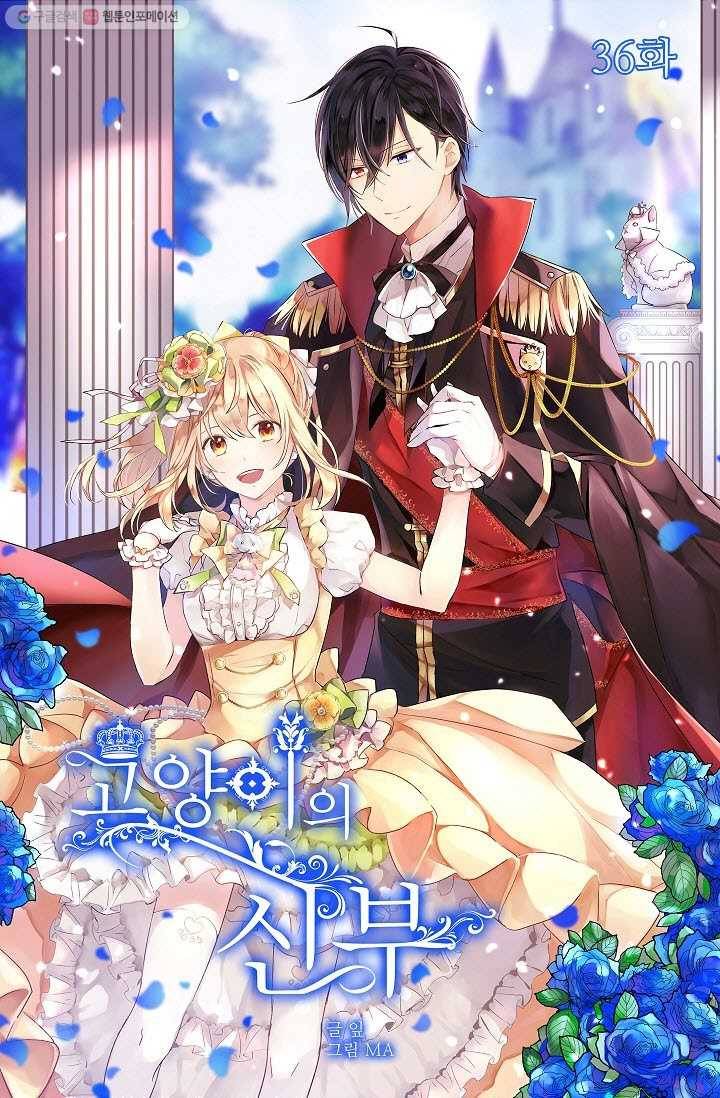 고양이 신부 36화 2