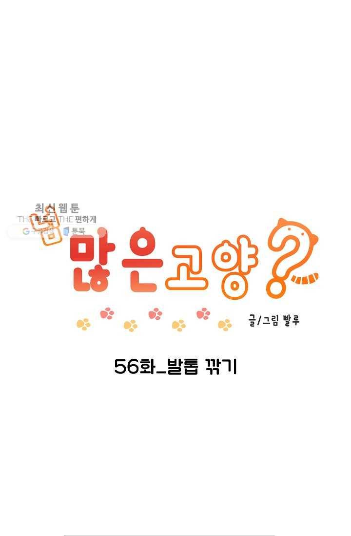 넘 많은 고양! 057화 1